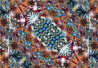 TGA：《风中行者》预告公布